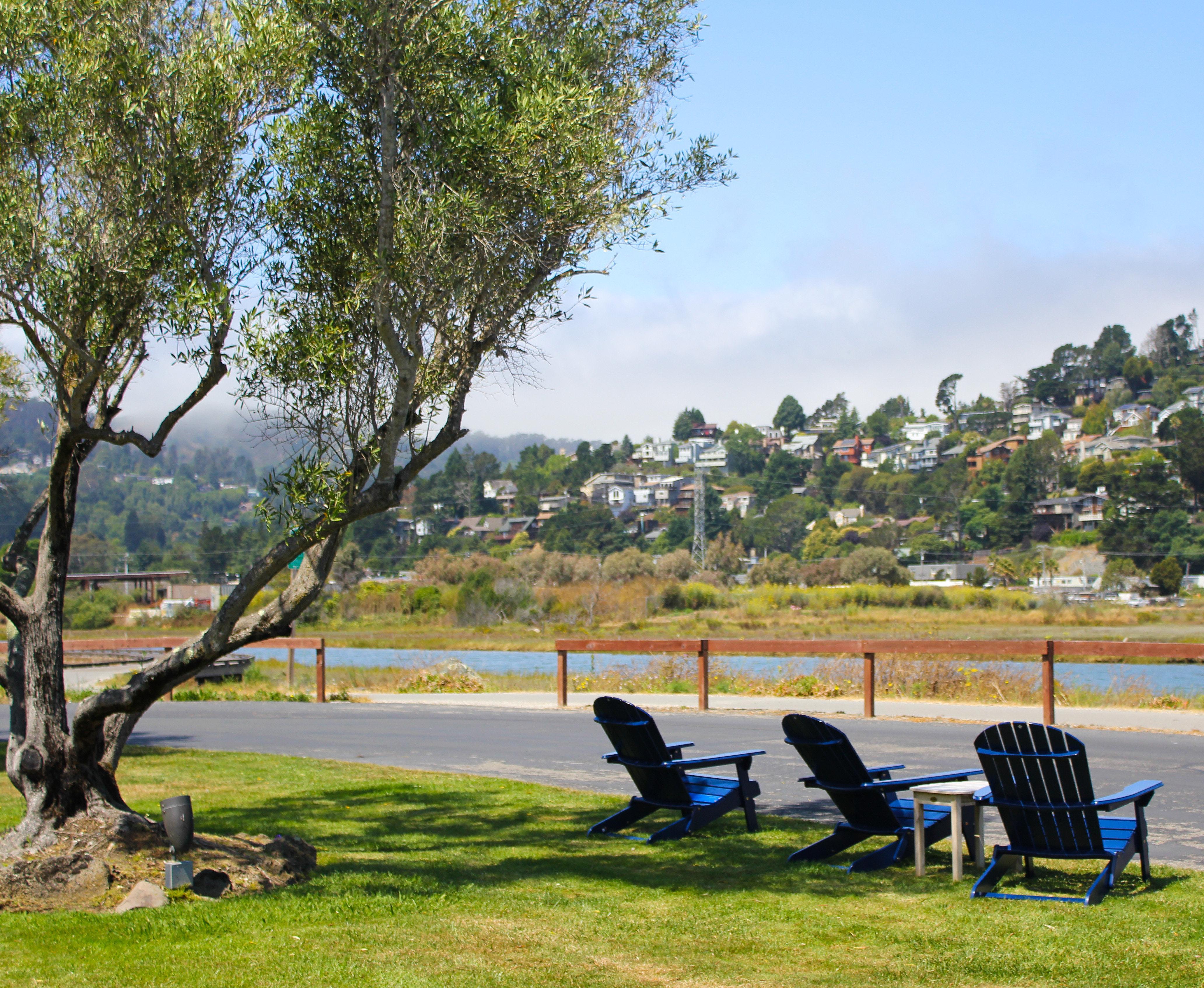 Holiday Inn Express Mill Valley San Francisco Area By Ihg Zewnętrze zdjęcie